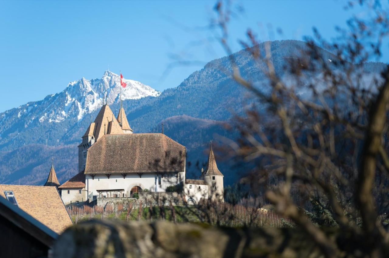 Nonanteneuf Appart Hotel Aigle - Contactless Check-In Екстер'єр фото